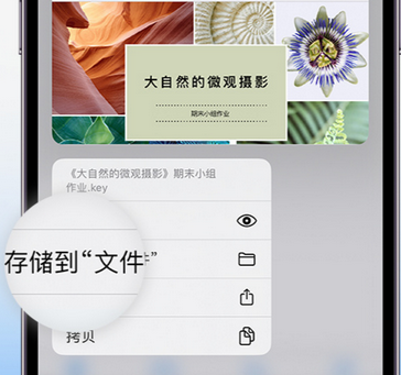 济水街道apple维修中心分享iPhone文件应用中存储和找到下载文件