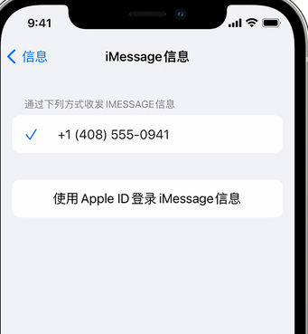 济水街道apple维修iPhone上无法正常发送iMessage信息 