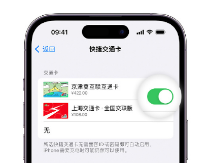 济水街道apple维修点分享iPhone上更换Apple Pay快捷交通卡手绘卡面 