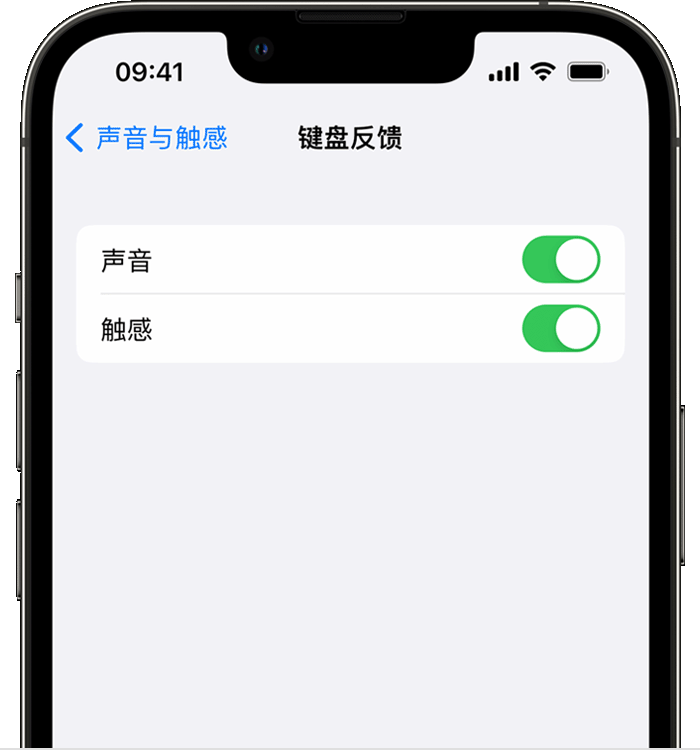 济水街道苹果14维修店分享如何在 iPhone 14 机型中使用触感键盘 