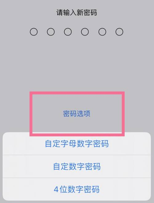 济水街道苹果14维修分享iPhone 14plus设置密码的方法 