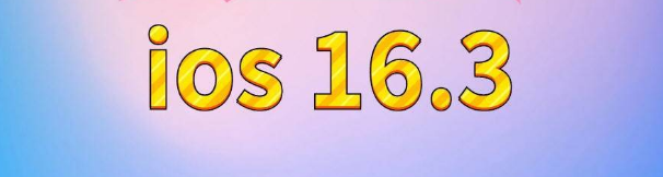 济水街道苹果服务网点分享苹果iOS16.3升级反馈汇总 