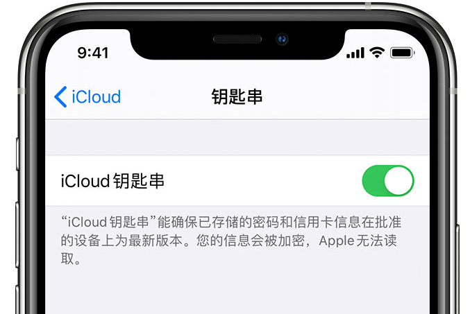 济水街道苹果手机维修分享在 iPhone 上开启 iCloud 钥匙串之后会储存哪些信息 