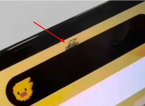 济水街道苹果14维修分享iPhone 14 Pro Max灵动岛怎么养宠物 